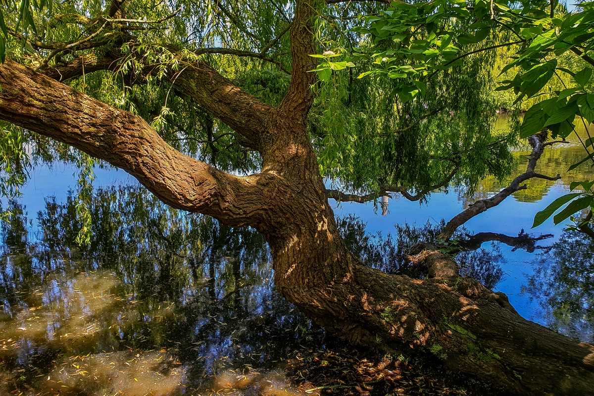 TZ_2020-05-26 13-25-01.jpg
