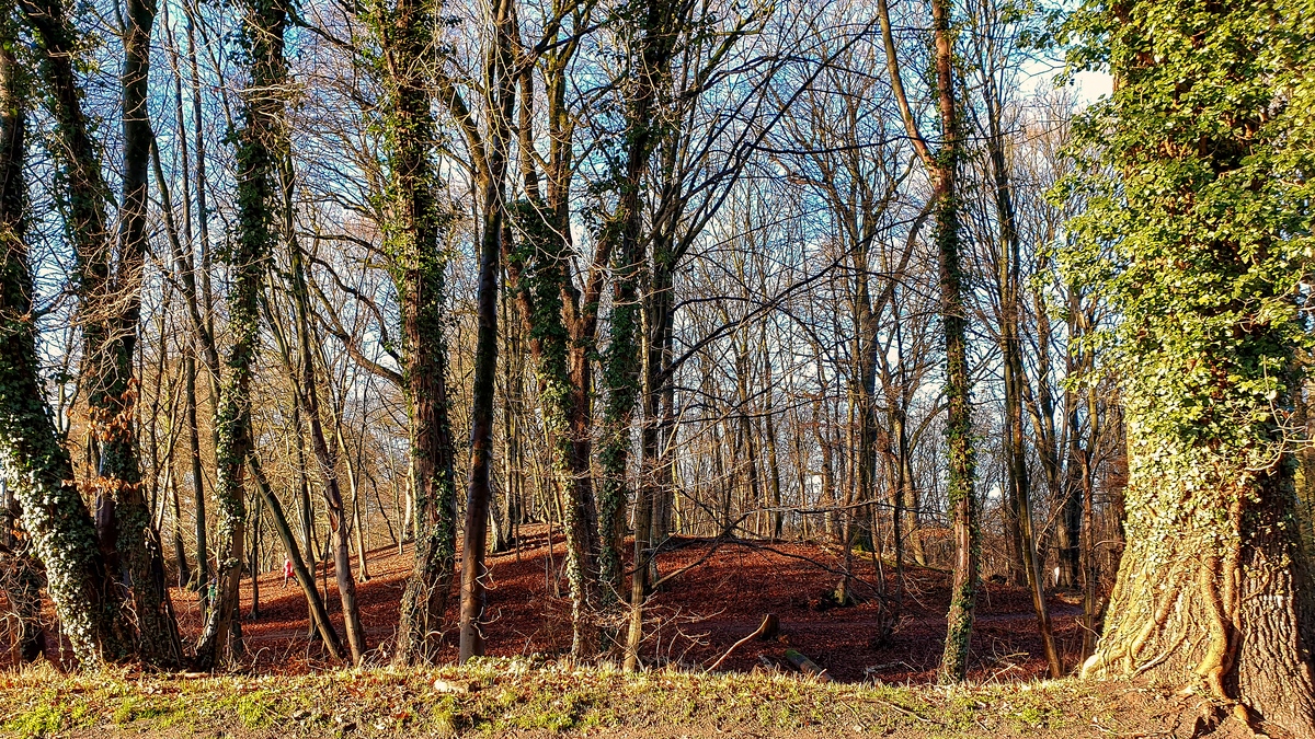 TZ_2021-01-12 11-37.jpg