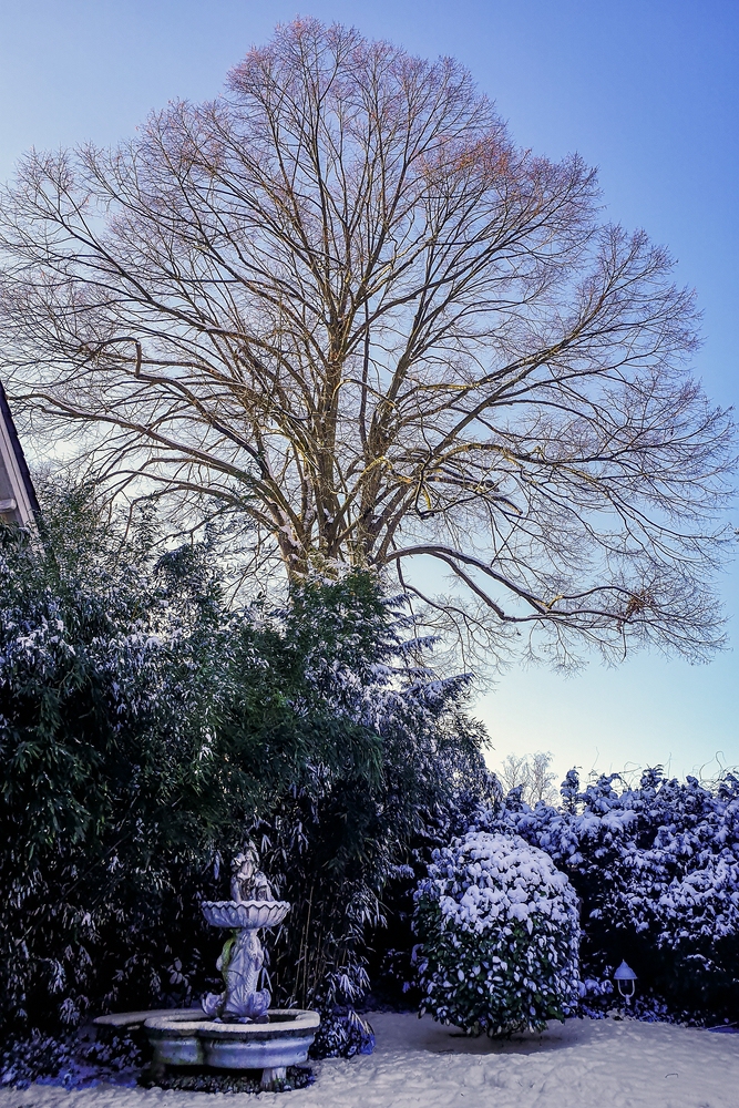 TZ_2021-01-30 13-56.jpg