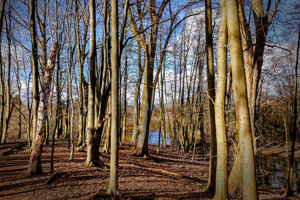 TZ_2021-03-14_15-34.jpg