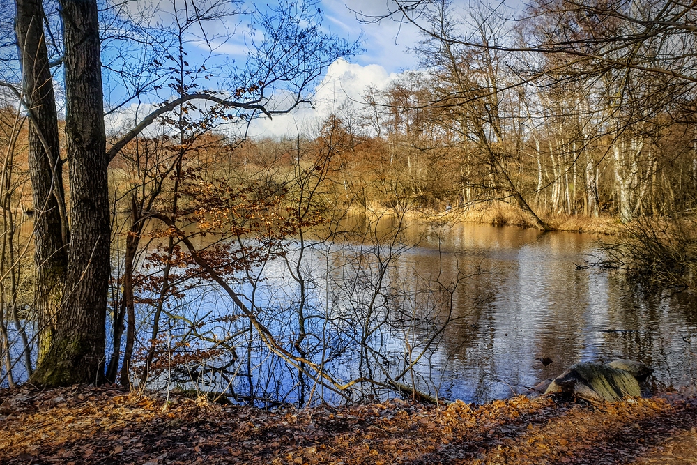 TZ_2021-03-14_15-37.jpg