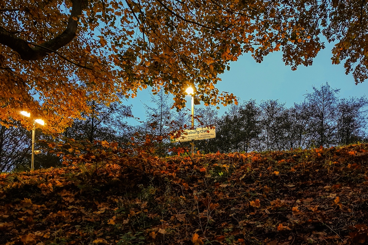 TZ_2021-11-03_17-01.jpg