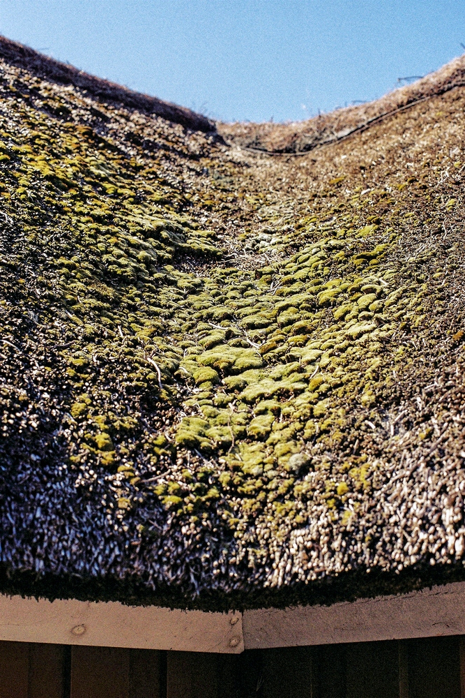 TZ_CNV000016_2.jpg