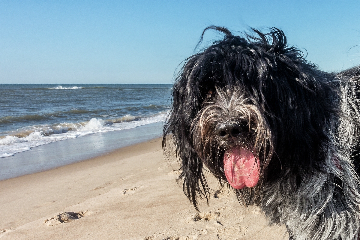 TZ_DSC00373_Ajpg.jpg