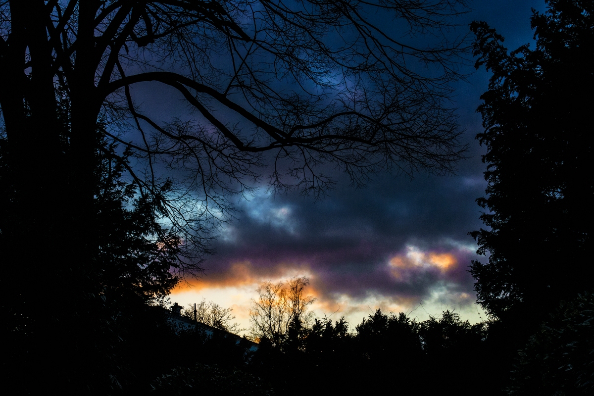 TZ_DSC01363_A.jpg