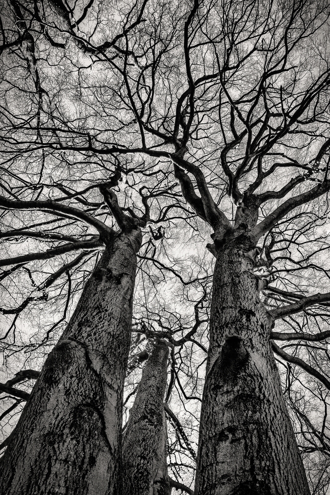 TZ_DSC01402_SW.jpg