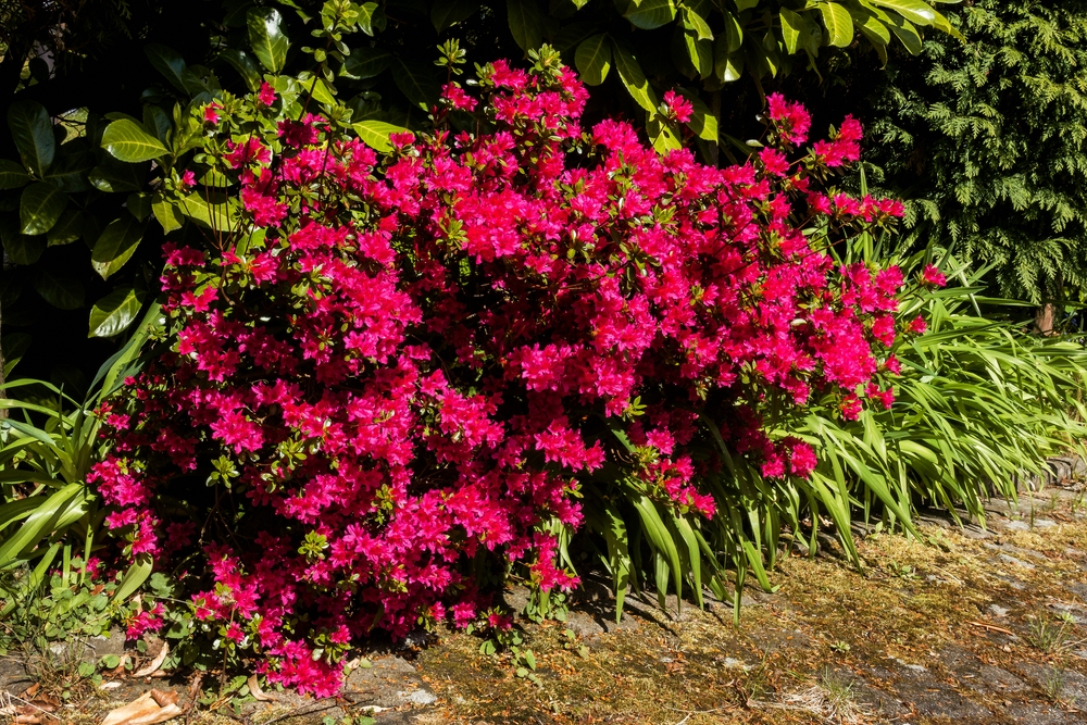 TZ_DSC01424_A.jpg