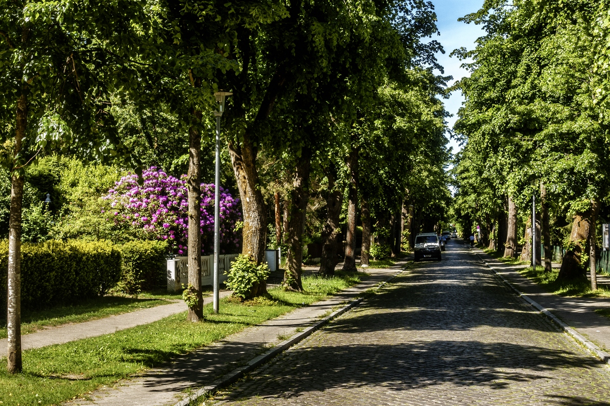 TZ_DSC01582_A.jpg