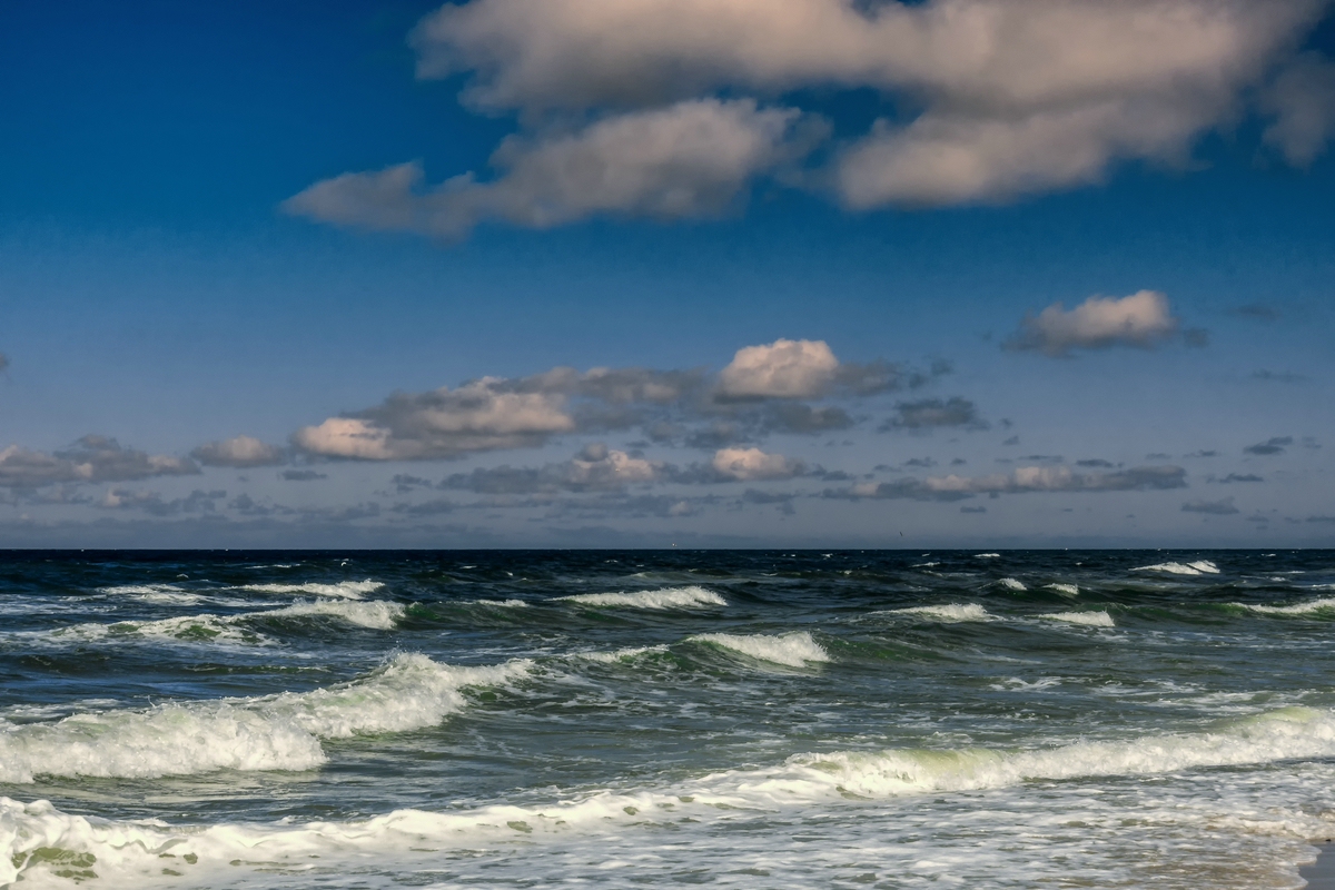 TZ_DSC01787_B.jpg