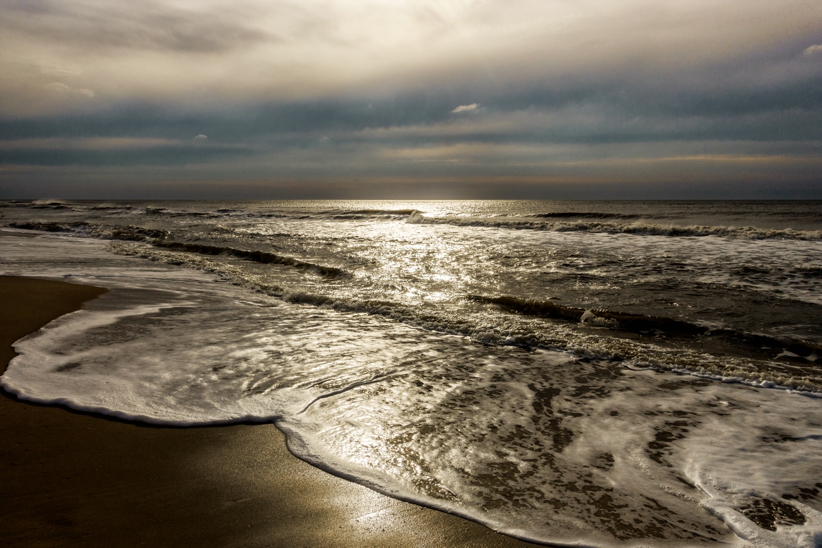 TZ_DSC02152_A.jpg