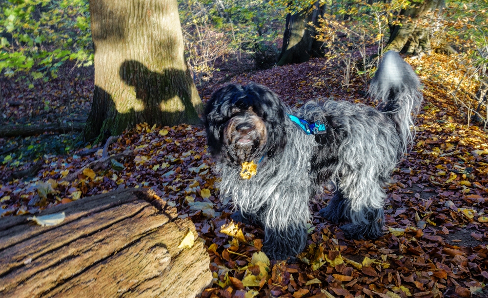 TZ_DSC02472_A.jpg