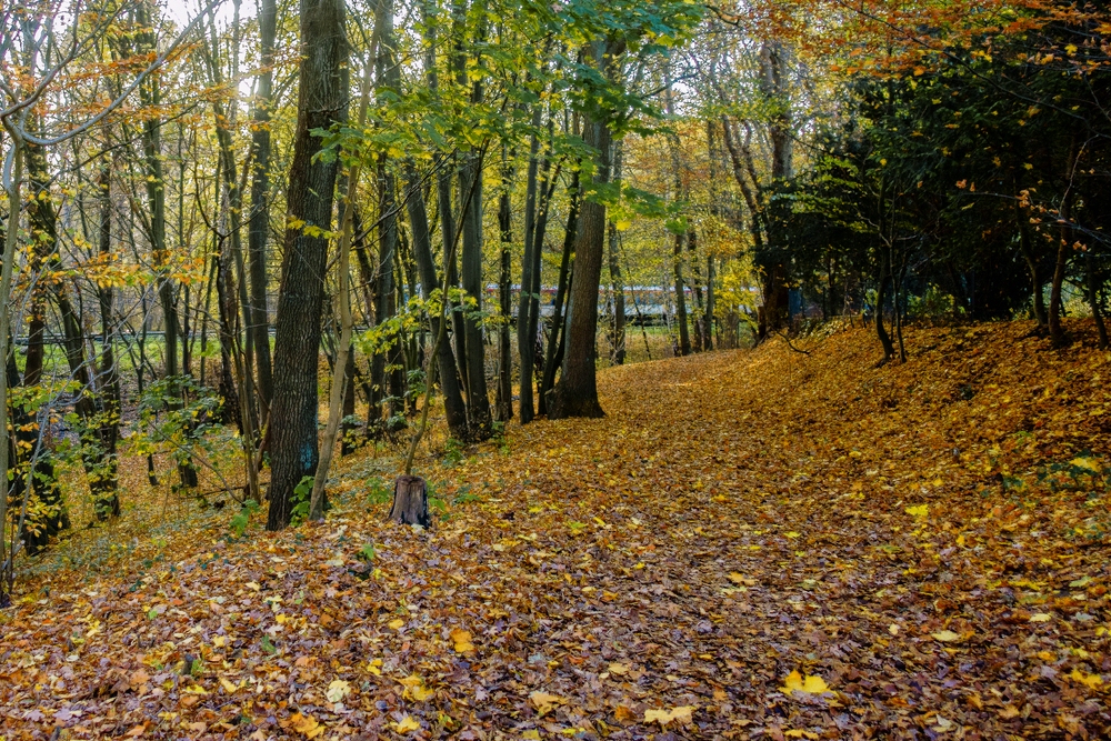 TZ_DSC02475_A.jpg