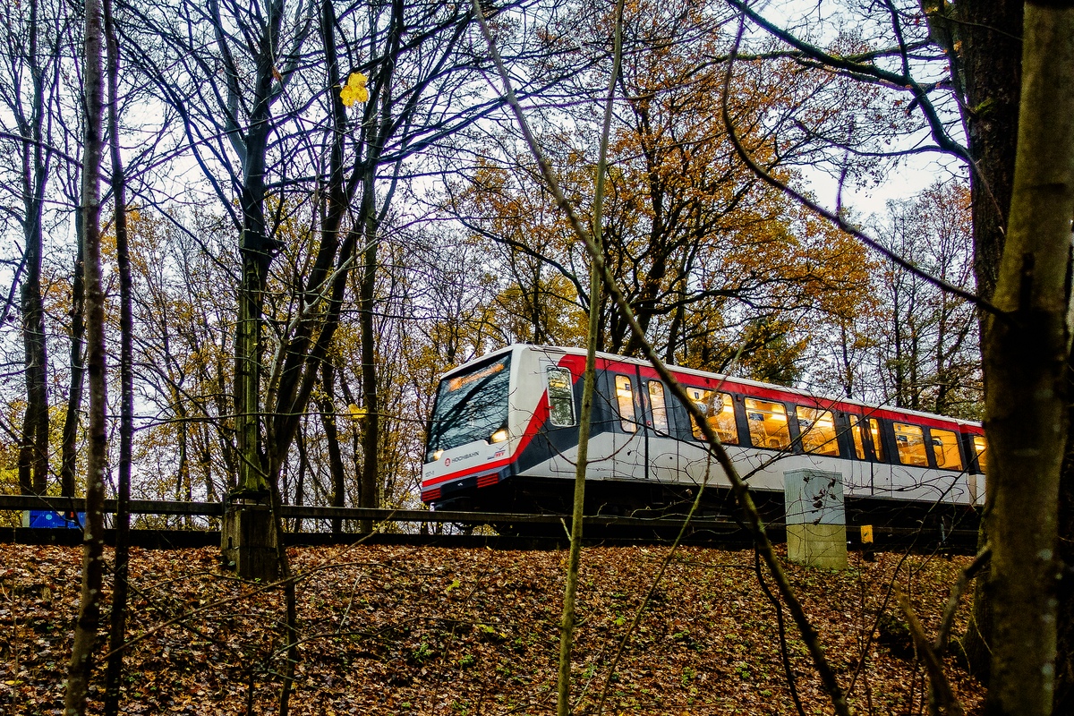 TZ_DSC02480_A.jpg