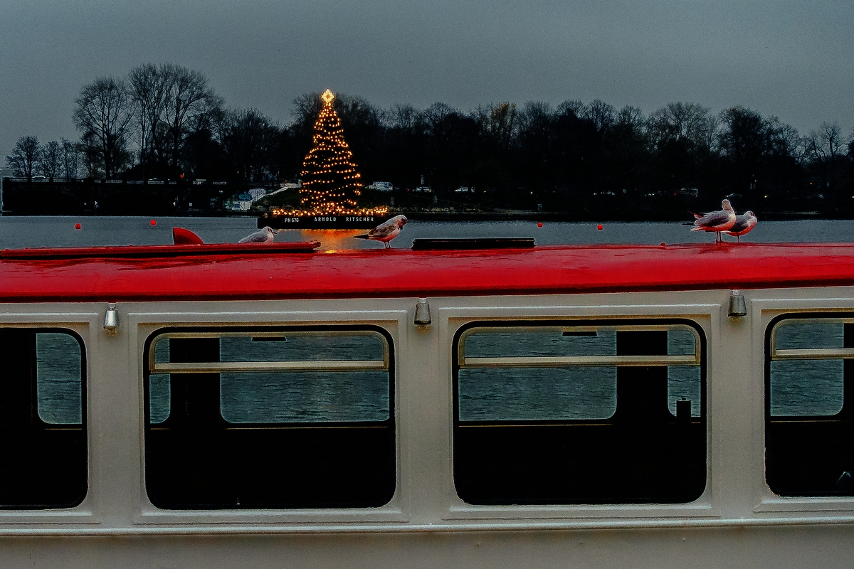 TZ_DSC02516_A.jpg