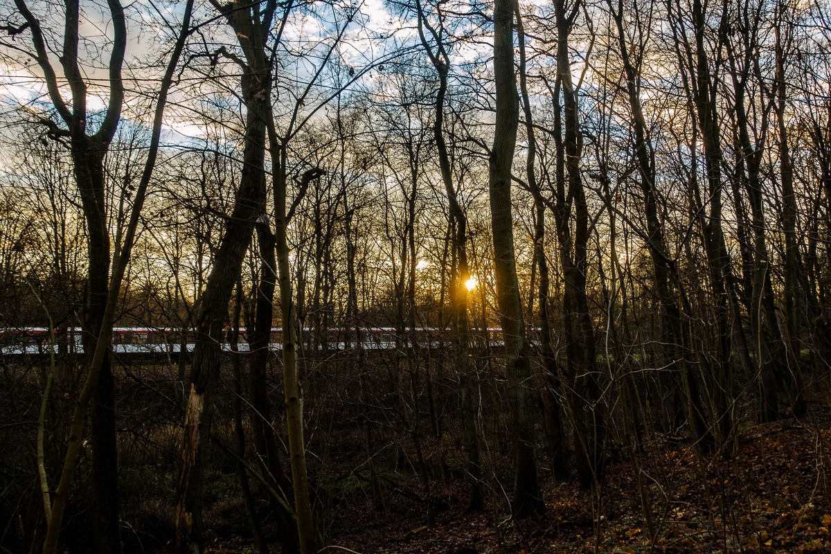 TZ_DSC02525_A.jpg
