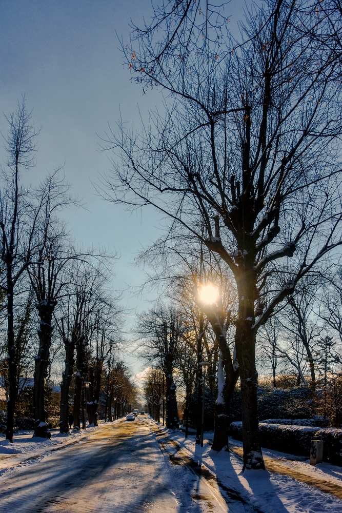 TZ_DSC02573_A.jpg