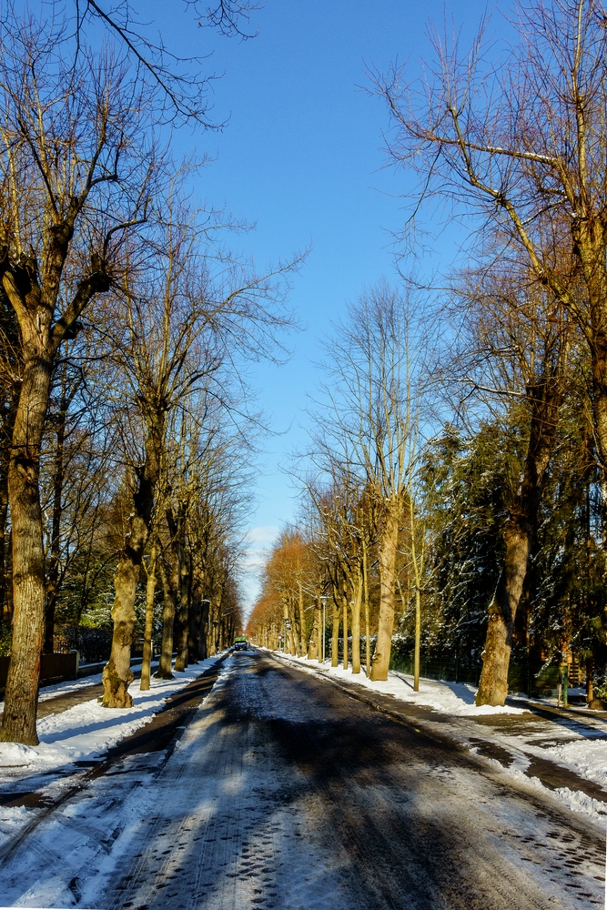 TZ_DSC02574_A.jpg