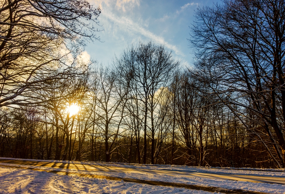 TZ_DSC02578_A.jpg
