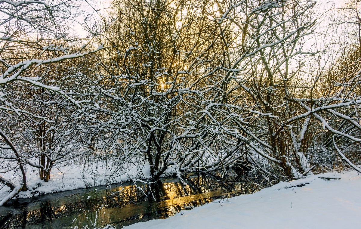 TZ_DSC02603_A.jpg