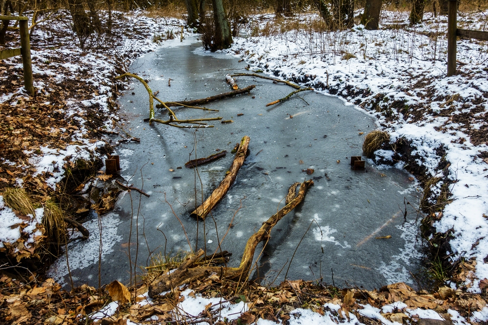 TZ_DSC02615_A.jpg