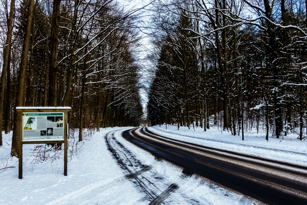 TZ_DSC02628_A.jpg