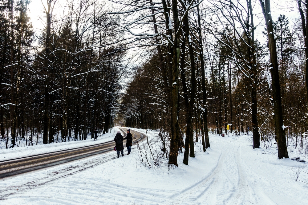 TZ_DSC02629_A.jpg