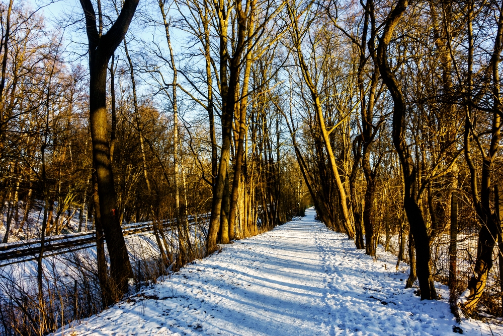 TZ_DSC02633_A.jpg