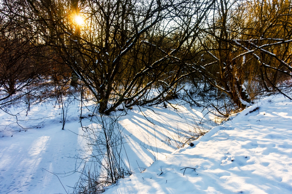 TZ_DSC02652_A.jpg