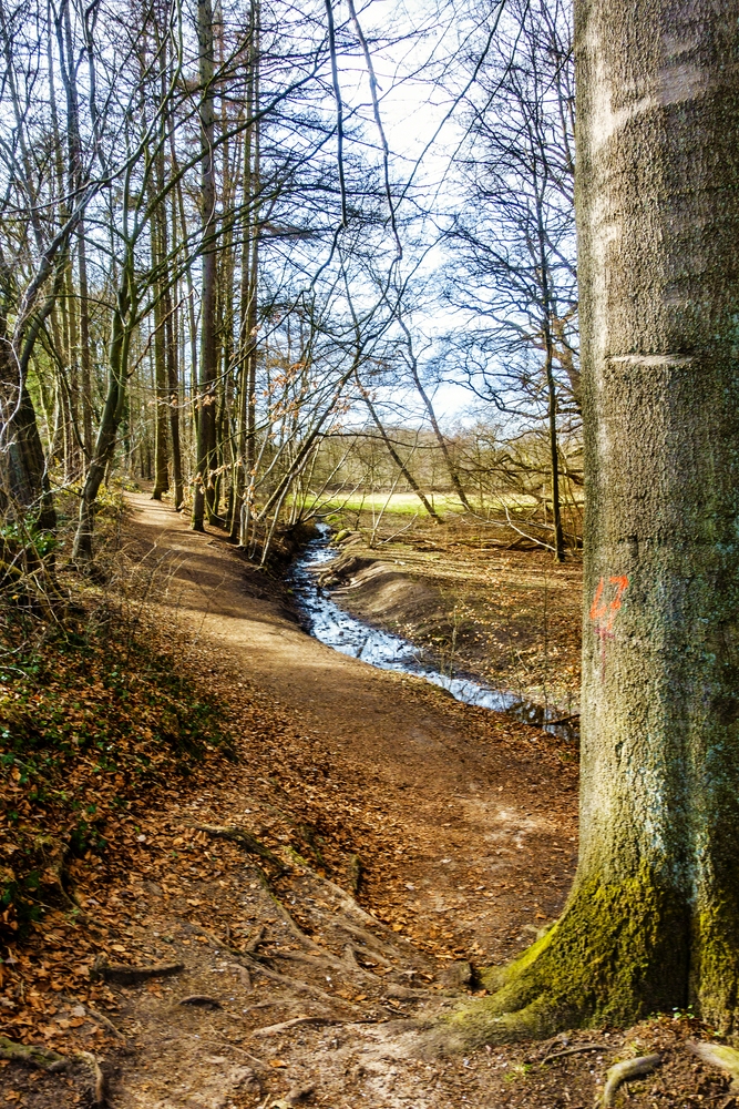 TZ_DSC02684_A.jpg