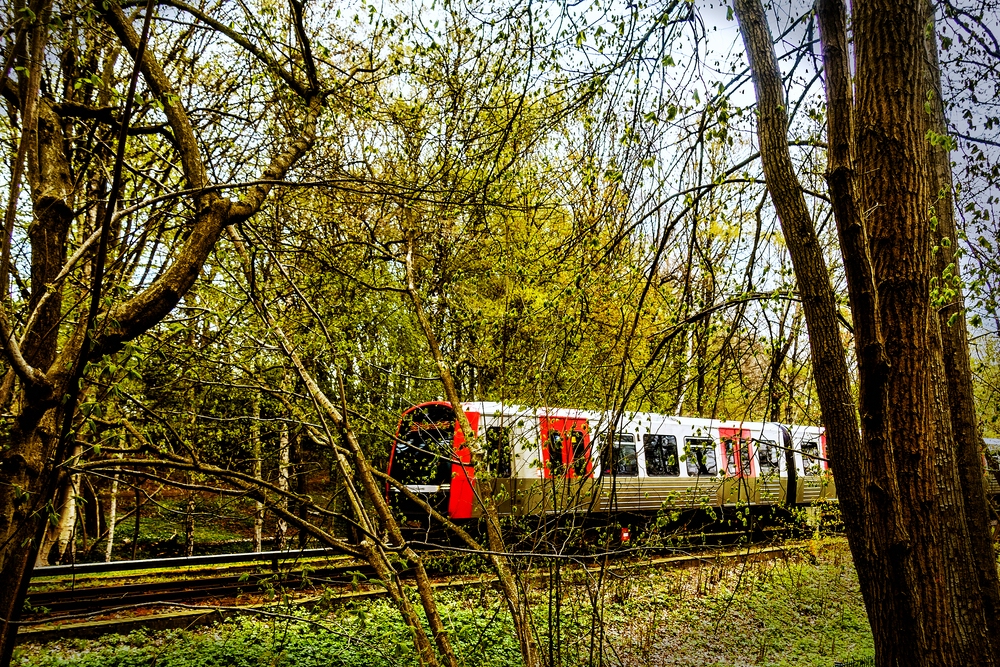 TZ_DSC02721_A.jpg