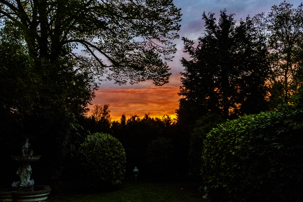 TZ_DSC02735_A.jpg