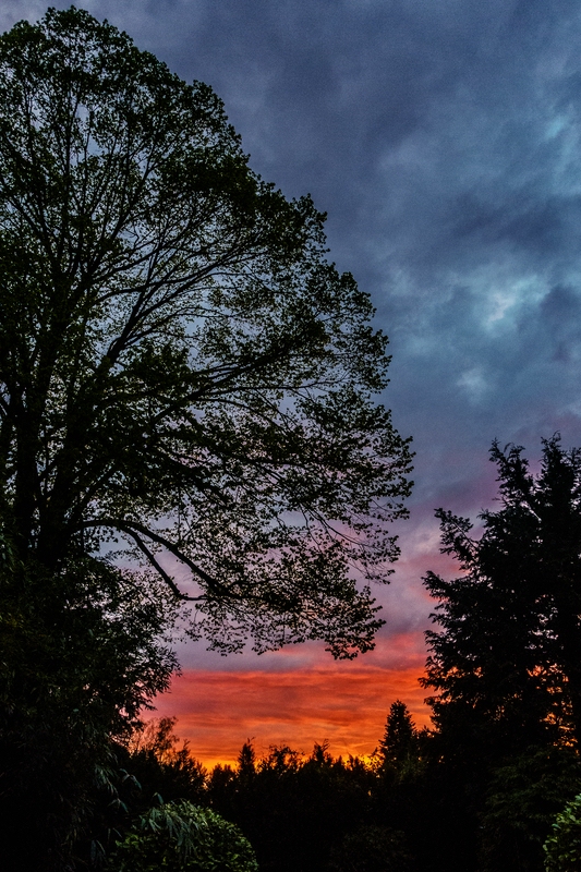 TZ_DSC02736_A.jpg