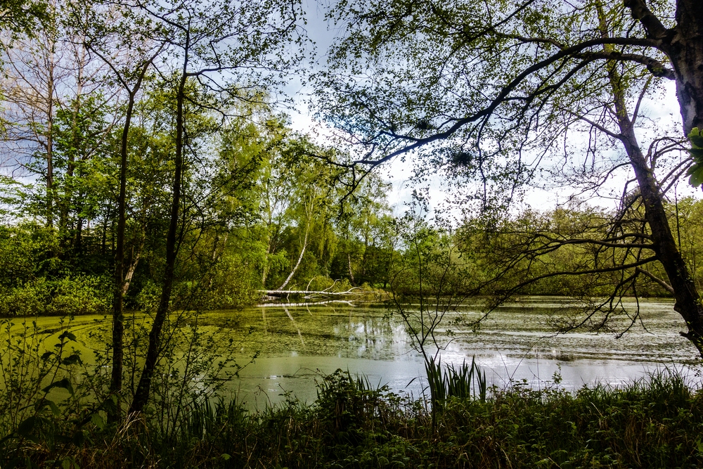 TZ_DSC02792_A.jpg