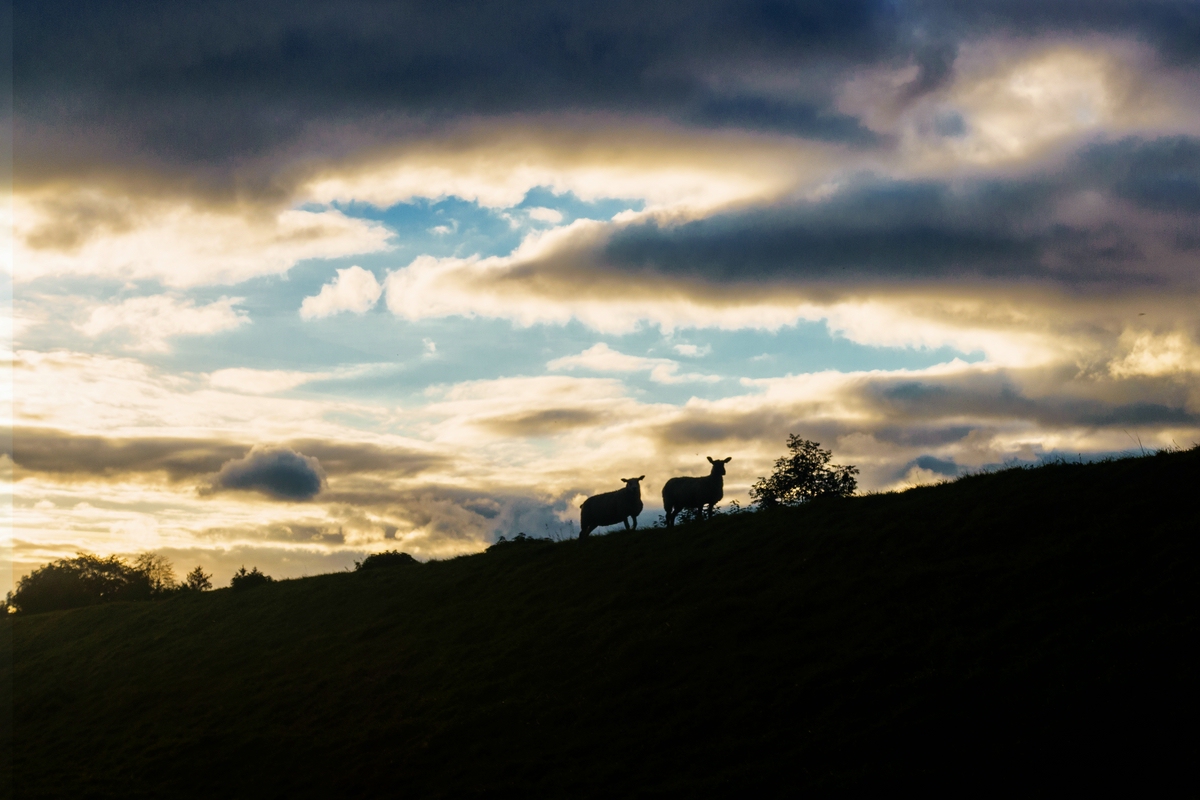 TZ_DSC03076_A.jpg