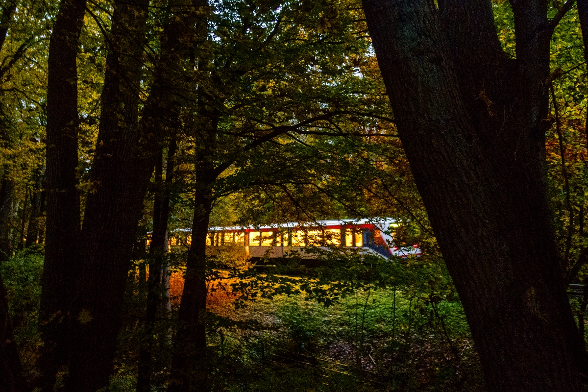 TZ_DSC03139_A.jpg