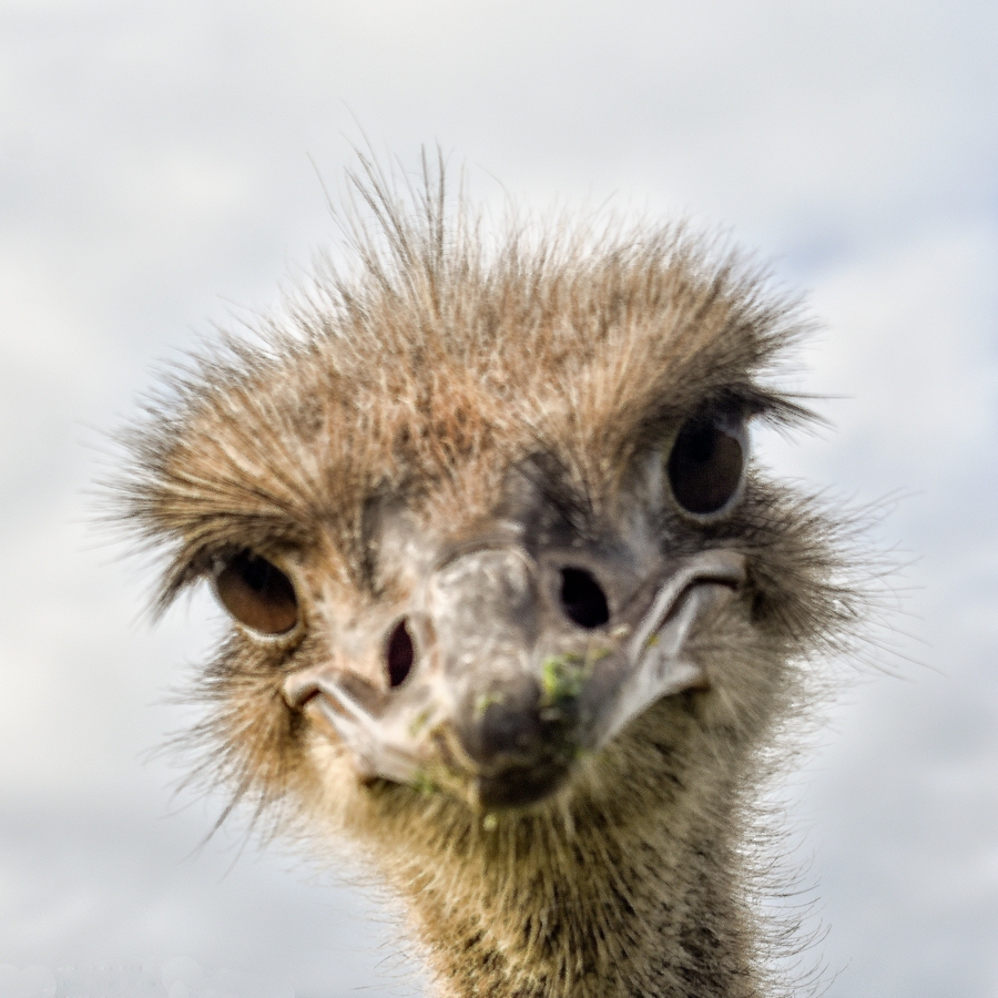TZ_DSC_0363.jpg