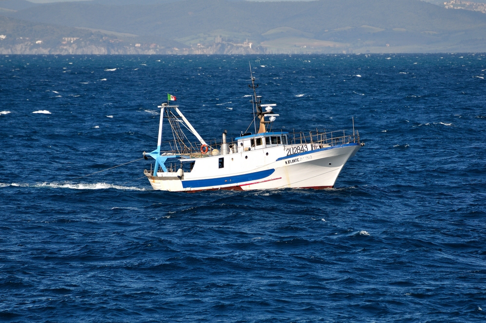 TZ_DSC_3594_251.jpg
