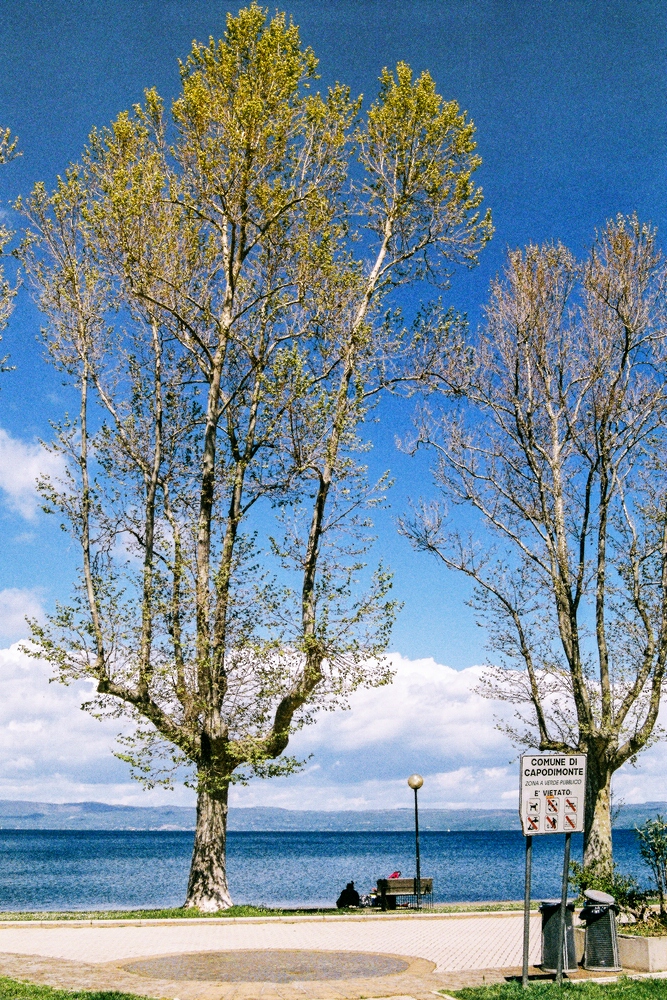 TZ_F1000020.jpg