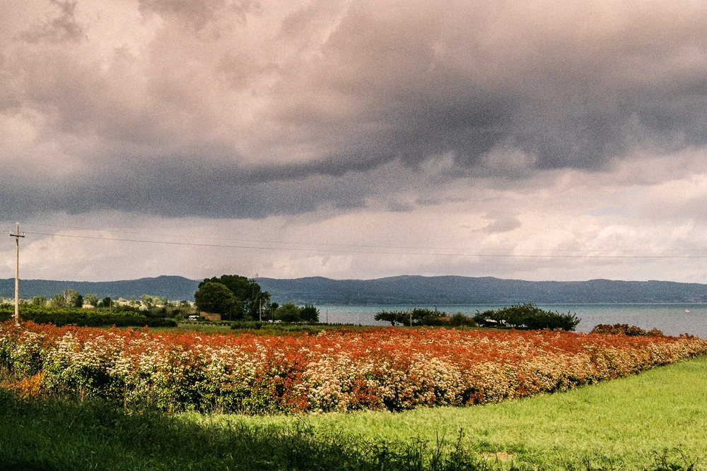 TZ_F1000029.jpg