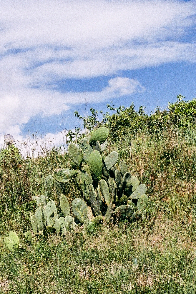 TZ_F1000034.jpg