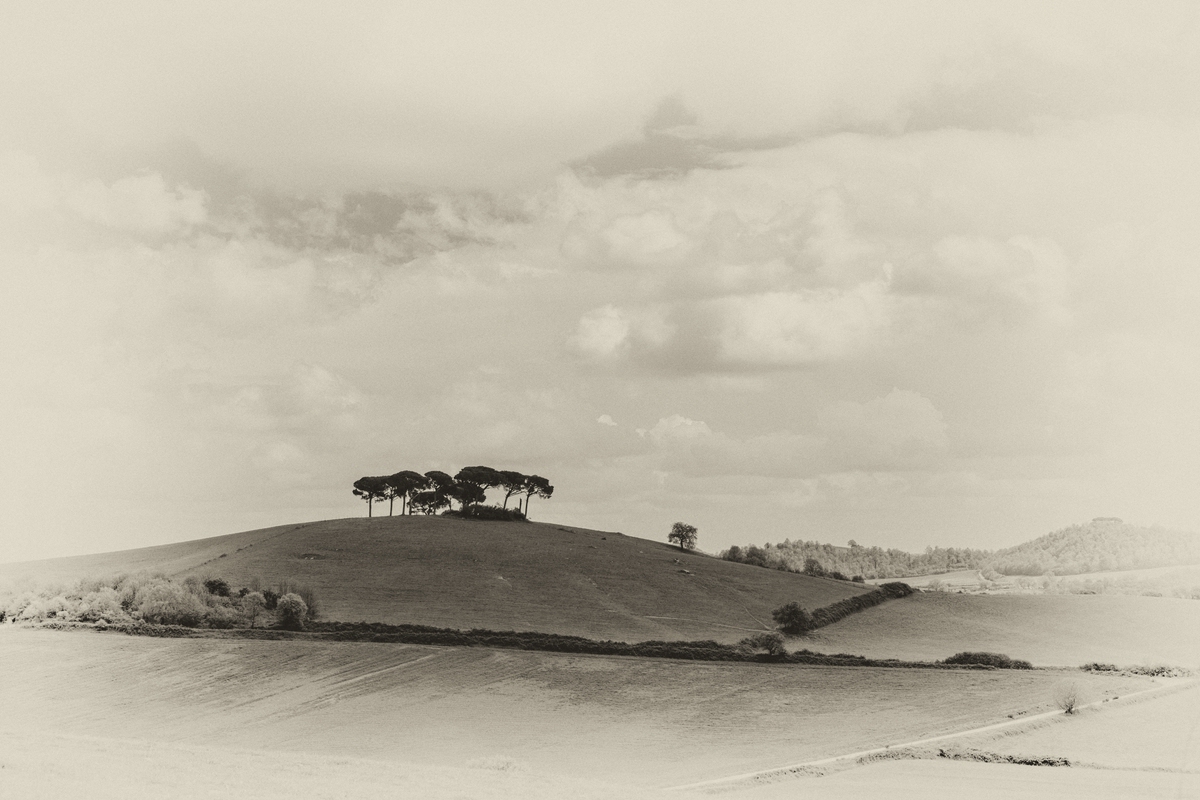 TZ_ZIM_8712_SW.jpg