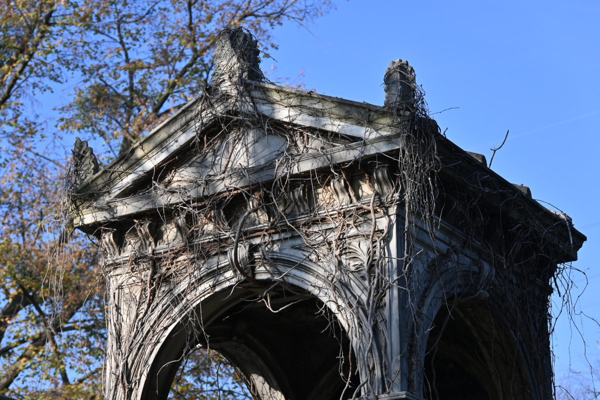 U02_2741-1200x800.jpeg