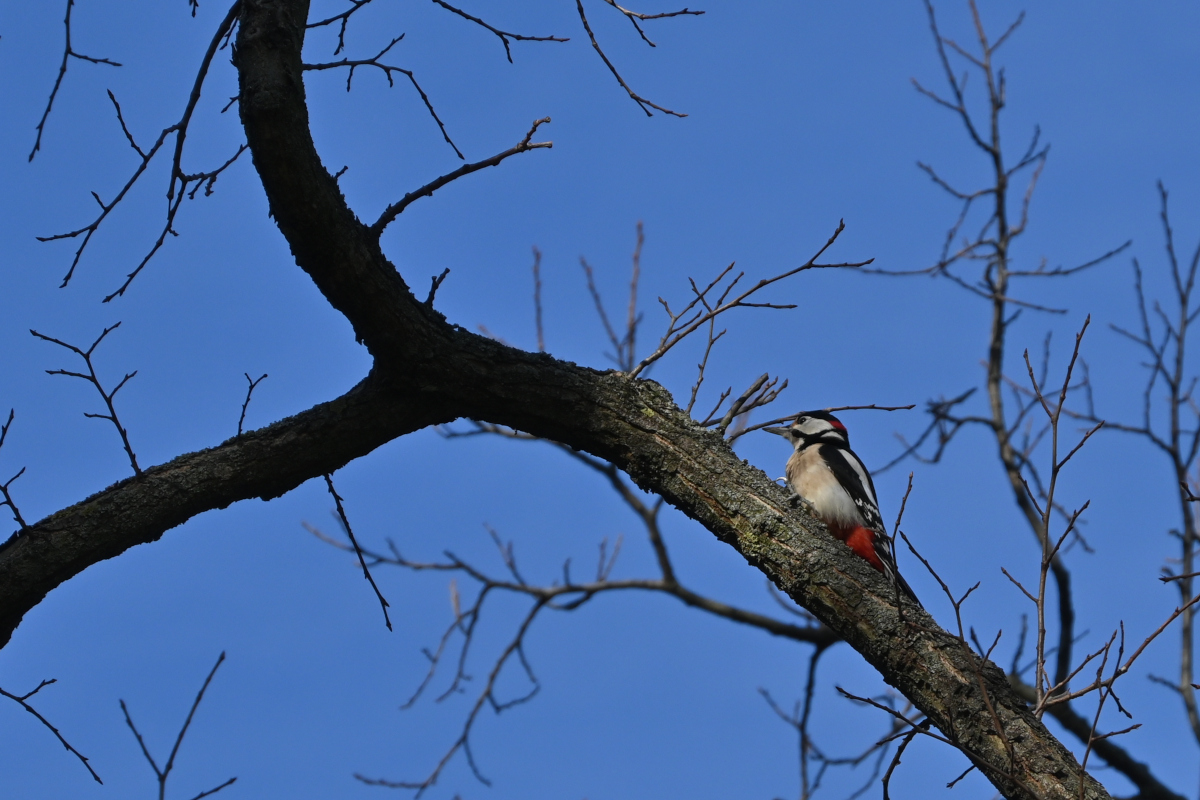 U02_2760-1200x800.jpeg