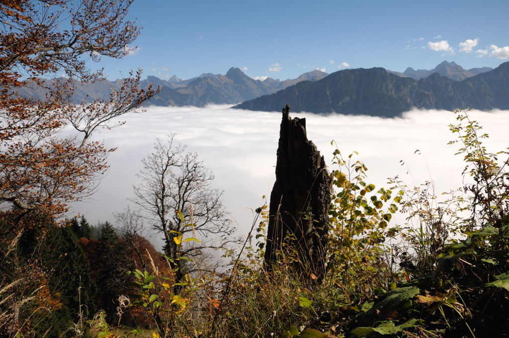 ueber den Wolken