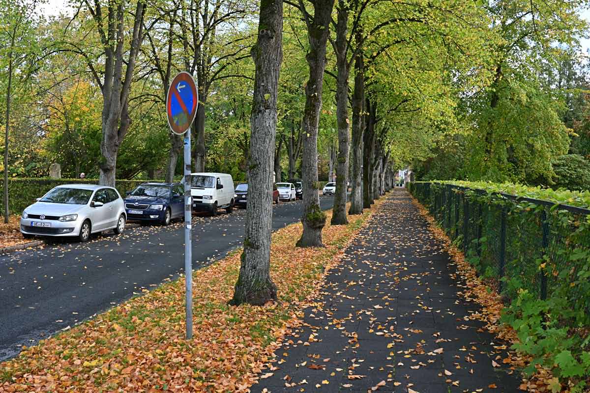 Uelzen-18.jpg
