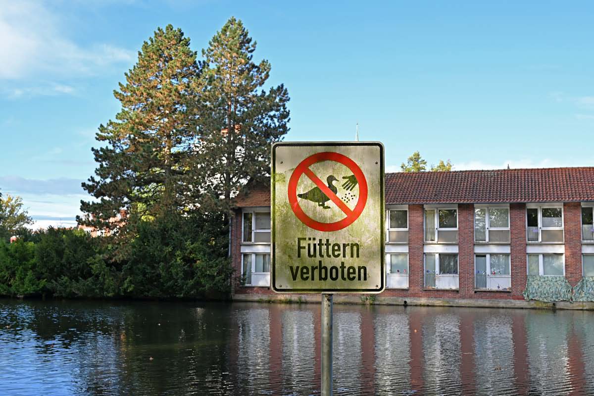 Uelzen-4.jpg