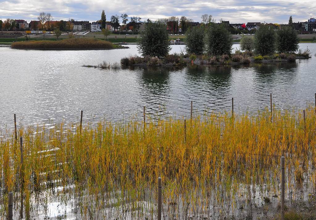 Uferlinie links