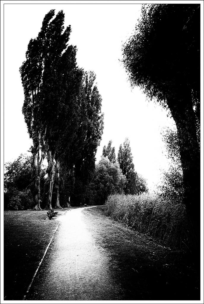 Uferweg auf der Reichenau