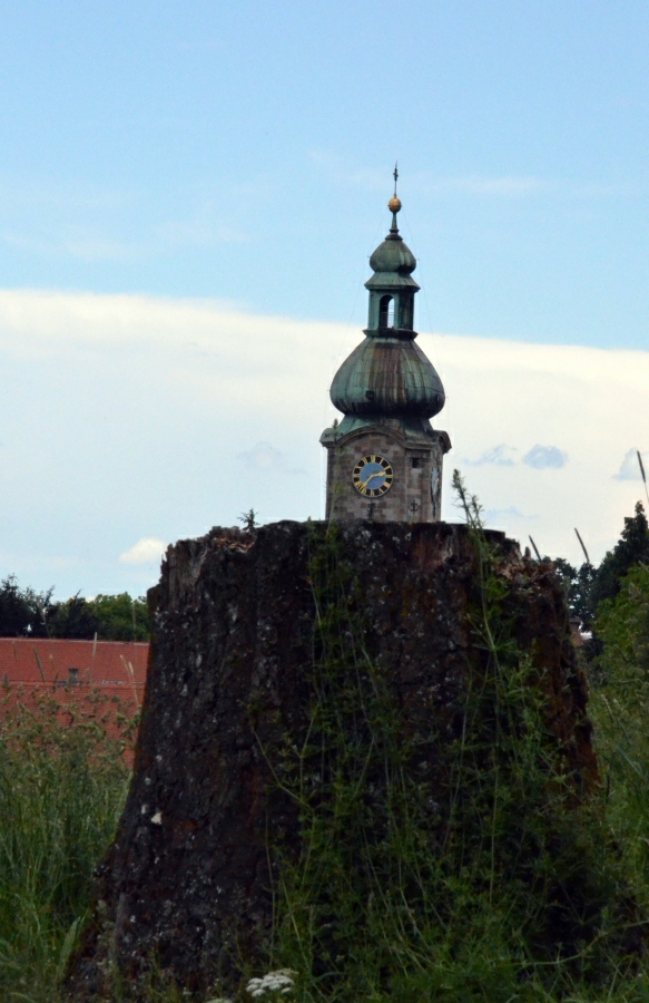 Uhriger Baum