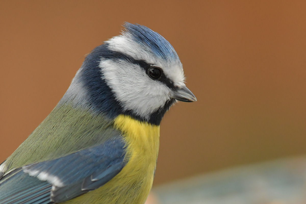 UliGraphie_DSC_9426.jpg